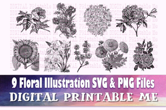 Download Floral Illustration Flower Drawing - Draw Collection