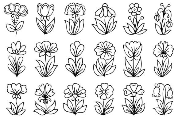 Download Line Art Hand Drawn Flowers - Draw Collection