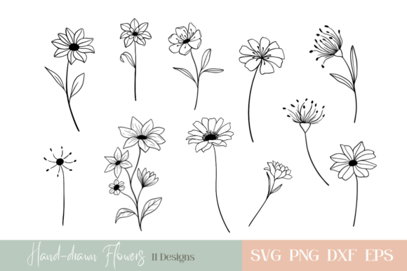 Download Hand-drawn Flowers Bundle - Draw Collection