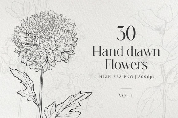 Download Hand Drawn Flowers Bundle - Draw Collection