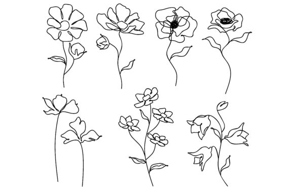 Download Collection of Hand Drawn Flowers - Draw Collection