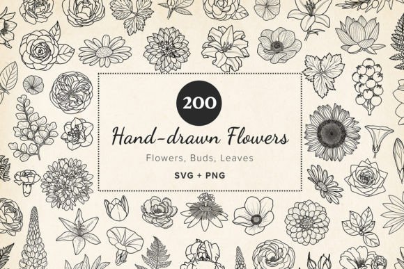 Download 200 Hand-drawn Flower &amp; Leaf SVG Clipart - Draw Collection