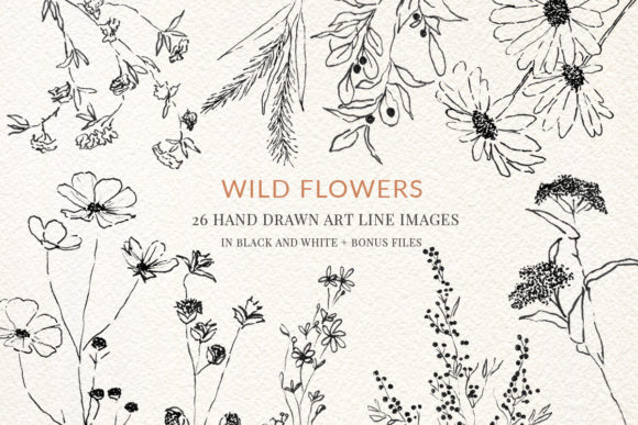 Download Wild Flowers Fine Line Clipart Hand Draw - Draw Collection