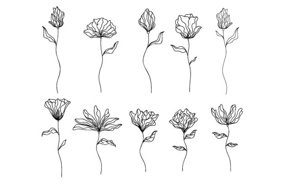Download Collection of Hand Drawn Flowers - Draw Collection