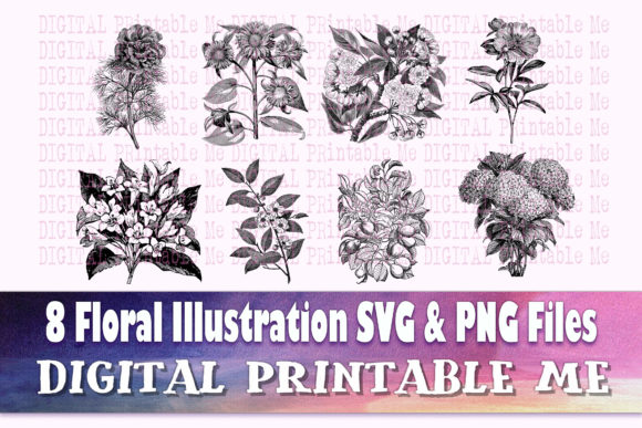 Download Floral Illustration Flower Drawing - Draw Collection