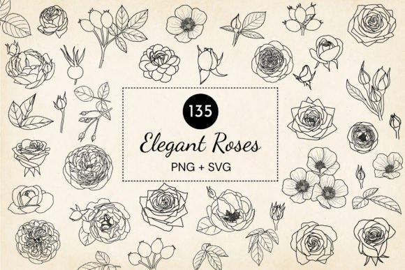 Download Hand-drawn Roses SVG Vector Bundle - Draw Collection