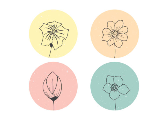 Download Hand Drawn Flowers Illustration - Draw Collection