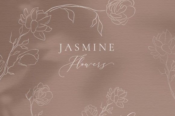 Download Line Drawing Jasmine Flower Illustration - Draw Collection