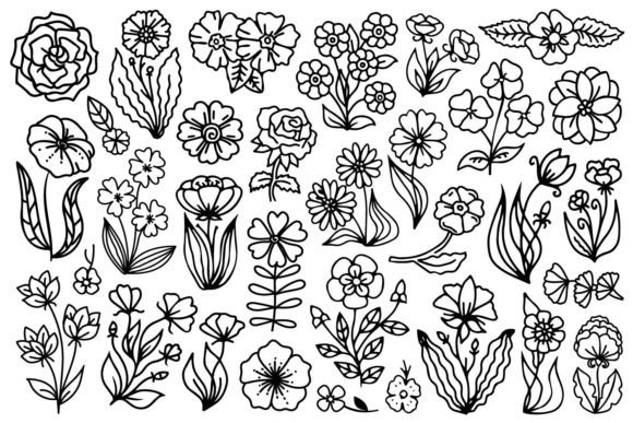 Download Hand Drawn Flowers - Draw Collection
