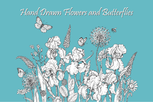 Download Hand Drawn Flowers and Butterflies. - Draw Collection