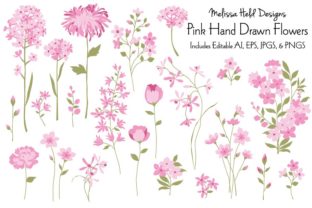 Download Pink Hand Drawn Flowers - Draw Collection