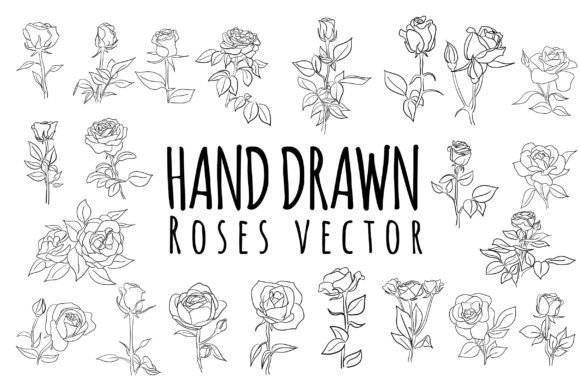 Download Line Hand Drawn Roses Flower - Draw Collection